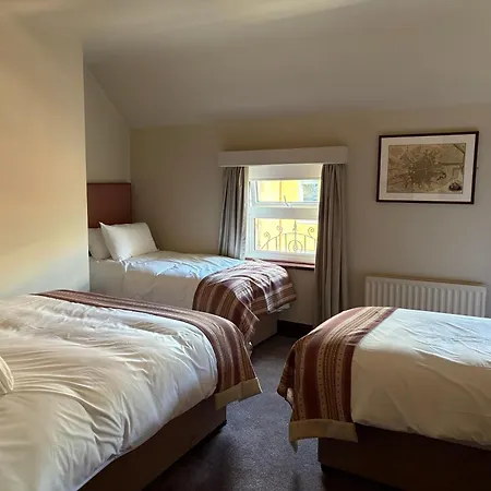 奥多诺霍德酒店 招待所 都柏林