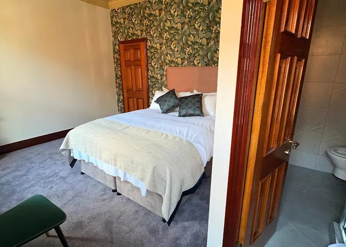 奥多诺霍德酒店 3* 都柏林